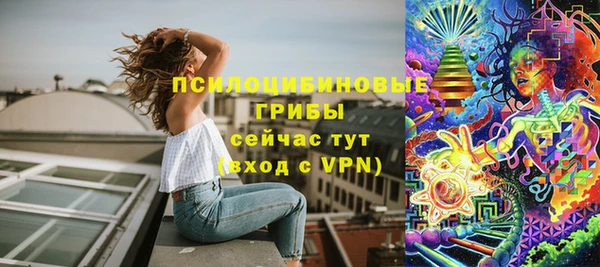 МДПВ Абдулино