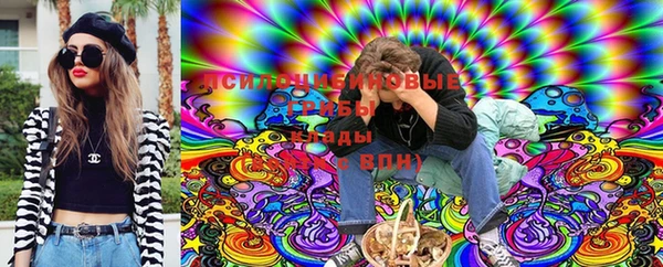МДПВ Абдулино