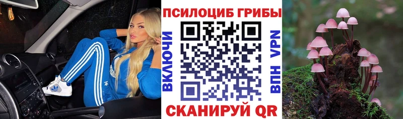 Галлюциногенные грибы Psilocybine cubensis закладка Азов