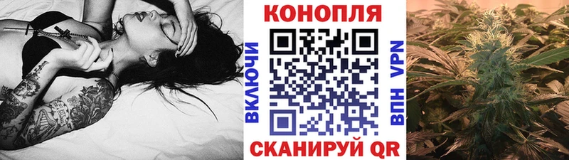 Бошки марихуана ГИДРОПОН  Азов 